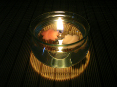 sakura candle 3